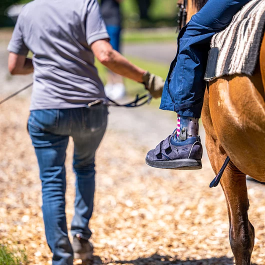Hippotherapie Pferd mit Menschen