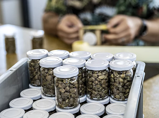 Versand Verpackung Ettiketieren von Kapern