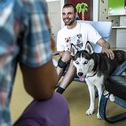 Dielsdorf Wahlangebot Hundebegegnung