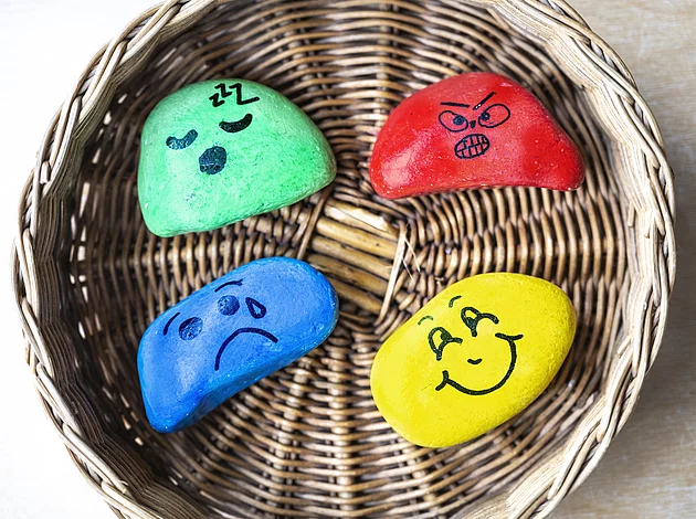 Integrative Kita ohne Mensch Gruppenraum Schildkröten Details