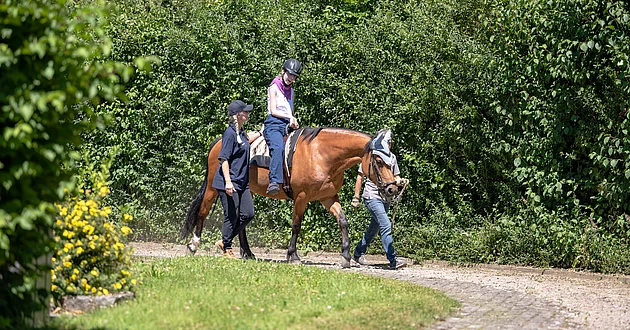 Hippotherapie Pferd mit Menschen